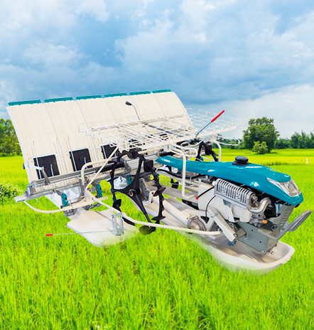 2ZS-6 Walking Behind Rice Transplanter